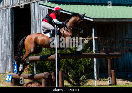 Raeford, North Carolina, USA. 22 Mär, 2019. März 23, 2019 - Raeford, N.C., USA - BRUCE (Buck) DAVIDSON JR. der Vereinigten Staaten reiten PARK HÄNDLER konkurriert im cross country CCI-4 S Abteilung an der 6. jährlichen Cloud 11 - Gavilan North LLC Carolina International CCI und Pferd Versuch, bei Carolina Horse Park. Die Carolina International CCI und Pferd Versuch ist einer von North America's Premier eventing Wettbewerbe für nationale und internationale eventing Kombinationen, internationale Konkurrenz an der CCI 2*-S durch CCI 4*-S-Ebene und auf nationaler Ebene der Ausbildung durch erweiterte. (Credit Stockfoto