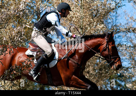 Raeford, North Carolina, USA. 22 Mär, 2019. März 23, 2019 - Raeford, N.C., USA - WILLIAM COLEMAN der Vereinigten Staaten reiten den Datensatz konkurriert im cross country CCI-4 S Abteilung an der 6. jährlichen Cloud 11 - Gavilan North LLC Carolina International CCI und Pferd Versuch, bei Carolina Horse Park. Die Carolina International CCI und Pferd Versuch ist einer von North America's Premier eventing Wettbewerbe für nationale und internationale eventing Kombinationen, internationale Konkurrenz an der CCI 2*-S durch CCI 4*-S-Ebene und auf nationaler Ebene der Ausbildung durch erweiterte. (Bild: Stockfoto