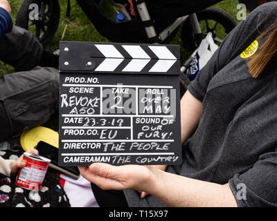 London, Großbritannien. 23 Mär, 2019. Über 1 Millionen Menschen kamen heute nach London eine weitere Abstimmung über Brexit zu verlangen. Fotografie von Ghene Snowdon Credit: Ghene Snowdon/Alamy leben Nachrichten Stockfoto