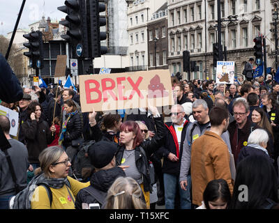 London, Großbritannien. 23 Mär, 2019. Über 1 Millionen Menschen kamen heute nach London eine weitere Abstimmung über Brexit zu verlangen. Fotografie von Ghene Snowdon Credit: Ghene Snowdon/Alamy leben Nachrichten Stockfoto
