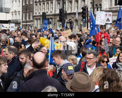 London, Großbritannien. 23 Mär, 2019. Über 1 Millionen Menschen kamen heute nach London eine weitere Abstimmung über Brexit zu verlangen. Fotografie von Ghene Snowdon Credit: Ghene Snowdon/Alamy leben Nachrichten Stockfoto