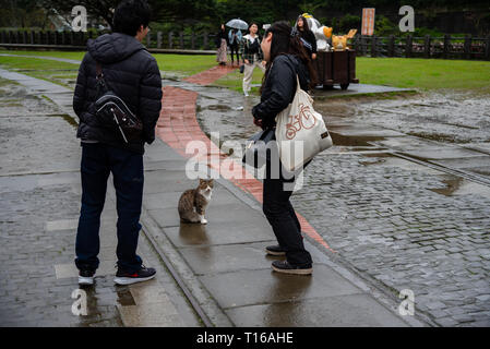 Houtong cat Dorf. Taiwan berühmten Katze Bevölkerung. Das Dorf ist entlang der Bahnlinie Pingxi, verlassen von Ruifang district, Taipei City, Taiwan. Stockfoto