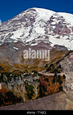 WA 16007-00 ... WASHINGTON - Blick auf den Mount Rainier vom Nisqually Vista Trail im Mount Rainier National Park. Stockfoto