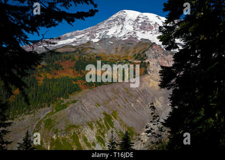 WA 16008-00 ... WASHINGTON - Blick auf den Mount Rainier vom Nisqually Vista Trail im Mount Rainier National Park. Stockfoto