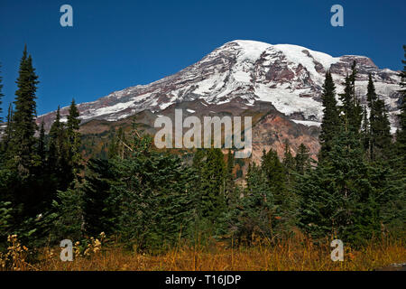 WA 16009-00 ... WASHINGTON - Blick auf den Mount Rainier vom Nisqually Vista Trail in der Nähe von Paradise im Mount Rainier National Park. Stockfoto