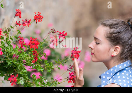 Monticchiello, Italien Stadt Stadt in der Toskana Nahaufnahme von Frau junge Mädchen riechen Berühren rote Blume potson Sommer Tag stein Wand Architektur Stockfoto