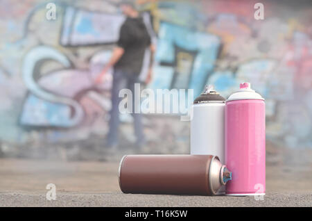 Eine Fotografie aus einer bestimmten Anzahl von sprühdosen vor dem Hintergrund der Raum mit der Wand, an der sich der junge Mann zieht eine große Graffiti drawin Stockfoto