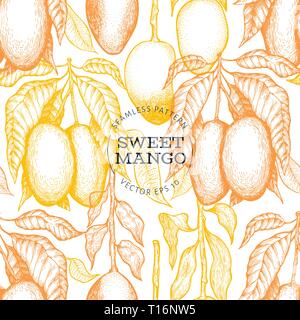 Mango Zweige nahtlose Muster. Hand gezeichnet Vektor tropic Obst Abbildung. Graviert stil Obst Banner. Retro exotische Lebensmittel Hintergrund. Stock Vektor