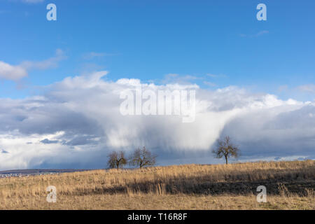 Grüne Felder und blauer Himmel über Hessen in Deutschland Stockfoto