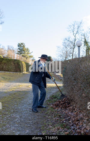 Alter Mann harken Laub im Garten, älterer Mann im Garten Stockfoto