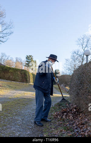 Alter Mann harken Laub im Garten, älterer Mann im Garten Stockfoto