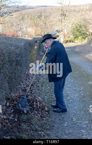 Alter Mann harken Laub im Garten, älterer Mann im Garten Stockfoto