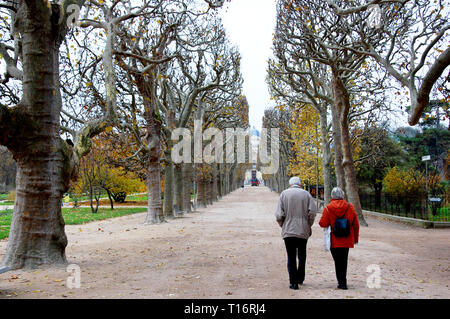 Ein älteres Ehepaar zu Fuß entlang der Park in Paris, Fragen, auf eine Gasse zwischen den hohen Bäumen Stockfoto