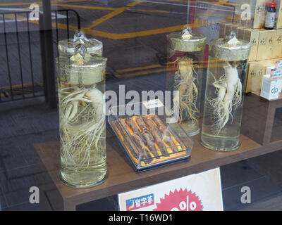 Central, Hong Kong - 3. November 2017: Ein Bild von Ginseng angeboten wird zum Verkauf in der Nähe von Sheung Wan in Hongkong. In China wird davon ausgegangen, dass Ginseng wird Stockfoto