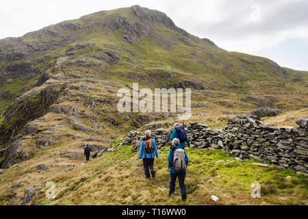 Wanderer Wandern bis Jahre Aran Berg von Llangefni Cwm Llançà in Berge von Snowdonia National Park. Gwynedd, Wales, Großbritannien, Großbritannien Stockfoto