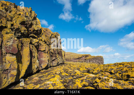 Shore flechten bedeckte Felsen und Klippen bei RSPB Fowlsheugh finden, südlich von Stonehaven, Aberdeenshire, Schottland. Stockfoto