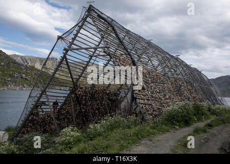 Nach dem Trocknen von stockfisch nur die Köpfe der cod reamain auf dem hölzernen Gestell in Gjesvær auf der Insel Mageroya in der Nähe von North Cape in Norwegen. Stockfoto