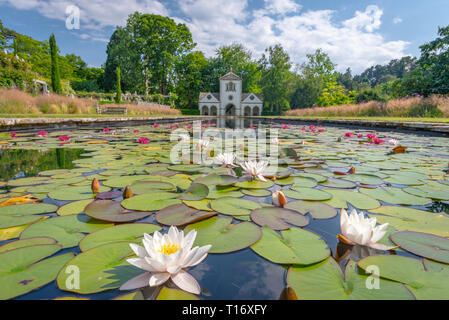 Stiftmühle Nachdenken über einen Teich mit Seerosen geschmückt, Bodnant Garden, Conwy, Wales, Vereinigtes Königreich Stockfoto