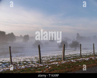 Später Frühling Nebel in einem Apple Orchard ab Straße durch Stacheldraht zaun gesehen. Stockfoto