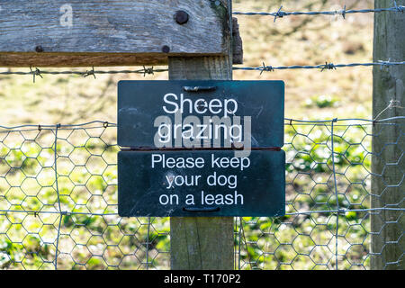 Schafe weiden Bitte geben Sie Ihren Hund an der Leine halten anmelden Stockfoto