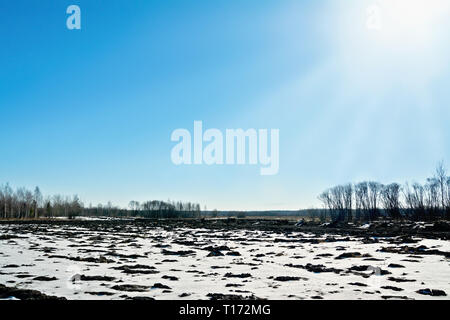 Landschaft mit schmelzenden Schnee auf Frühjahr Land, blauer Himmel, Sonne, Bäume und Wald. Stockfoto