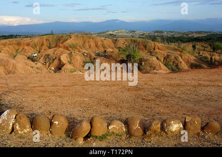 Tatacoa Wüstenlandschaft mit Ziegen, Kolumbien Stockfoto