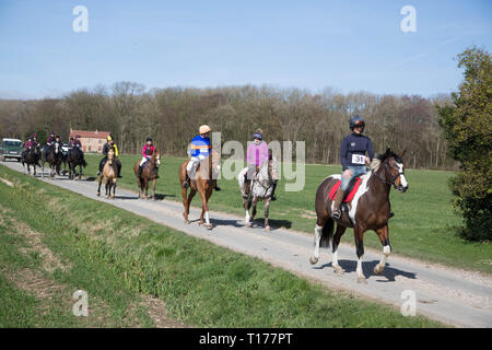 2019 Kiplingcotes Derby Stockfoto