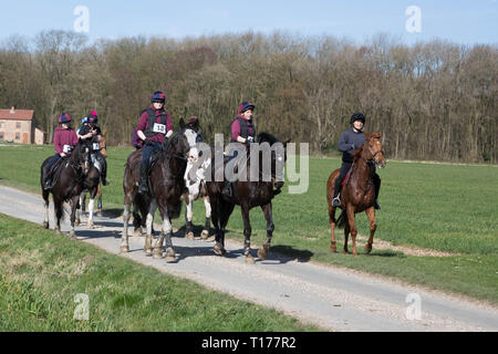 2019 Kiplingcotes Derby Stockfoto