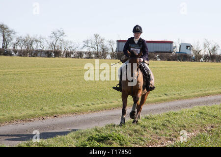 2019 Kiplingcotes Derby Stockfoto