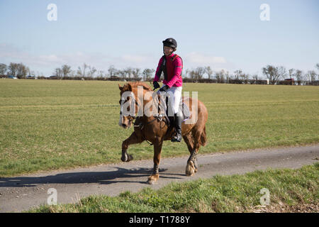 2019 Kiplingcotes Derby Stockfoto