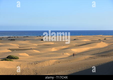 Die Sanddünen in der berühmten natürlichen Strand von Maspalomas. Gran Canaria. Spanien Stockfoto