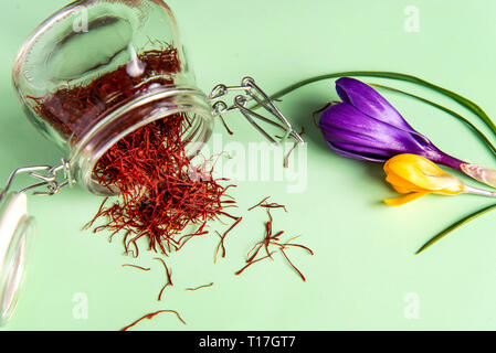 Saffron Spice Tee Ernte und Blume, Ansicht von oben Stockfoto