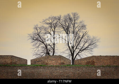 Close up Details des berühmten der Belgrader Festung Kalemegdan in Serbien während der Goldenen Stunde Stockfoto