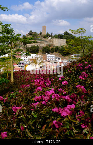 Los Remidios Garten Park in Velez-Malaga, Axarquia, Malaga, Andalusien, Costa del Sol, Spanien Stockfoto