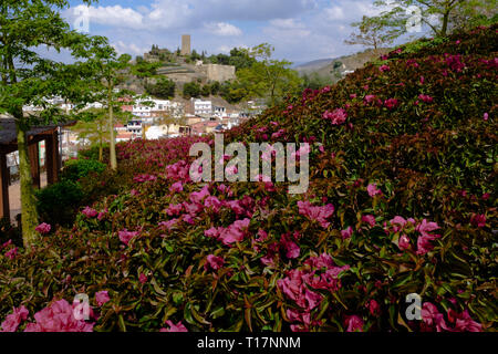 Los Remidios Garten Park in Velez-Malaga, Axarquia, Malaga, Andalusien, Costa del Sol, Spanien Stockfoto