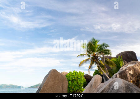 Markante großen Granitfelsen und Palmen auf L'Anse Source D'Argent, La Digue, Seychellen Stockfoto
