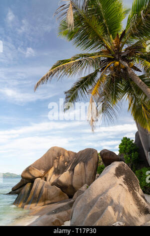 Markante großen Granitfelsen und Palmen auf L'Anse Source D'Argent, La Digue, Seychellen Stockfoto