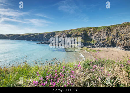 Malerische Klippen und ruhige blaue Meer von St David's Halbinsel bei hellen Sommertag. Pembrokeshire Coast National Park im Westen von Wales, Großbritannien Stockfoto