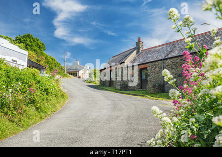 Malerische Dorf an der Küste Blick von der Landstraße am hellen Sommertag in Abercastle, Pembrokeshire, Großbritannien Stockfoto