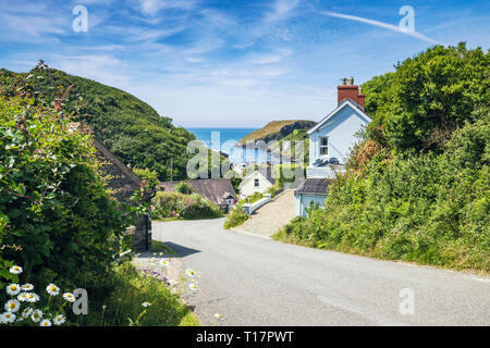 Malerische Dorf an der Küste Blick von der Seite der Landstraße am hellen Sommertag in Abercastle, Pembrokeshire, Großbritannien Stockfoto