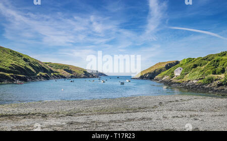 Ebbe Abercastle Hafen am hellen Sommertag. Pembrokeshire in Wales, Großbritannien Stockfoto