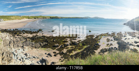 Panoramablick über Whitesands Bay auf hellen Sommertag in Pembrokeshire, im Südwesten von Wales Stockfoto