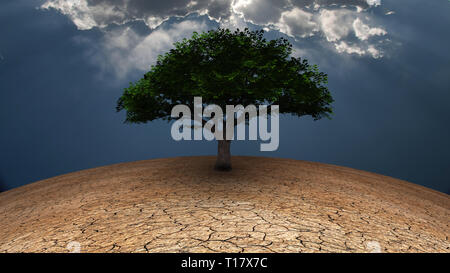 Surrealismus. Grüner Baum in den trockenen Land. Lichtstrahlen kommt durch die Wolken. Stockfoto