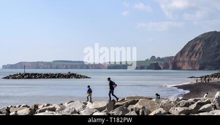 Sidmouth, Großbritannien. 24 Mär, 2019. Familien spielen auf dem Rock buhnen atSidmouth. Credit: Foto Central/Alamy leben Nachrichten Stockfoto