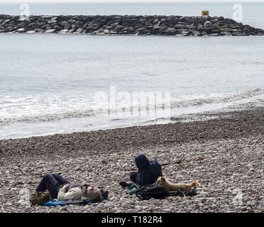 Sidmouth, Großbritannien. 24 Mär, 2019. Ein warmer Sonnenschein, der versucht, die Leute auf die Strände von Sidmouth. Credit: Foto Central/Alamy leben Nachrichten Stockfoto