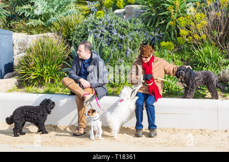 Bournemouth, Dorset, Großbritannien. März 2019. Wetter in Großbritannien: Schöner, sonniger Tag mit blauem Himmel und warmem Sonnenschein an den Stränden von Bournemouth, wenn Besucher an die Küste fahren, um das herrliche Wetter optimal zu nutzen. Mann und Frau sitzen mit ihren Hunden an der Wand. Quelle: Carolyn Jenkins/Alamy Live News Stockfoto