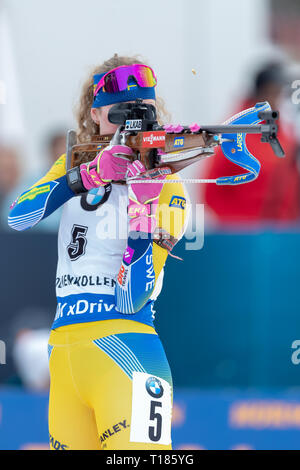 Oslo, Norwegen. 24 Mär, 2019. BMW IBU Weltcup Biathlon. 24. März 2019 Hanna Oeberg von Schweden in Aktion während der Damen 12,5 Massenstart am BMW IBU Weltcup Biathlon in Holmenkollen Oslo, Norwegen. Credit: Nigel Waldron/Alamy leben Nachrichten Stockfoto