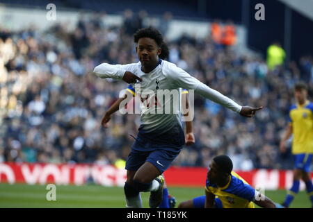 London, Großbritannien. 24. Mär 2019. J'Neil Bennett von Tottenham feiern erstes Ziel des neuen Stadions während Unter 18 Premier League zwischen Tottenham Hotspur U 18 und U 18 in Southampton Tottenham Hotspur Stadion, London, England am 24 Mar 2019 Credit: Aktion Foto Sport/Alamy leben Nachrichten Stockfoto