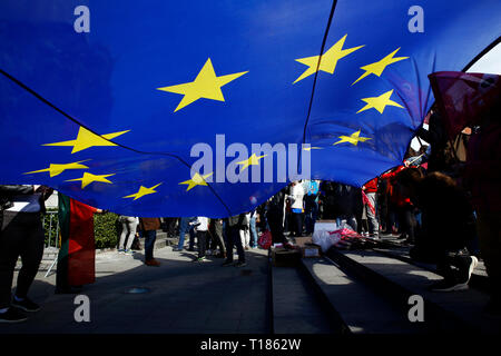 Brüssel, Belgien. 24. März 2019. Demonstranten März, wie sie die Fahnen der Europäischen Union während einer pro-europäischen Union Demonstration. Credit: ALEXANDROS MICHAILIDIS/Alamy leben Nachrichten Stockfoto