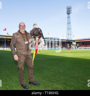 DEVENTER, Stadion De Adelaarshorst, 24-03-2019, Saison 2018 / 2019, Niederländische Keuken Kampioen Divisie. Gerrit van Zandvoort und Eagle Harly während des Spiels Go Ahead Eagles - Twente Stockfoto